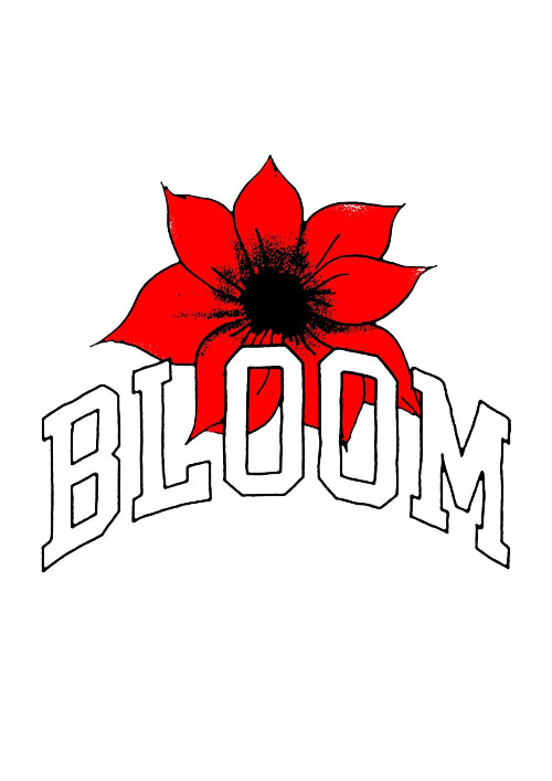 whatisbloom